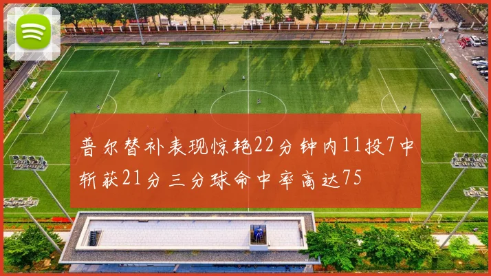 普尔替补表现惊艳22分钟内11投7中斩获21分三分球命中率高达75
