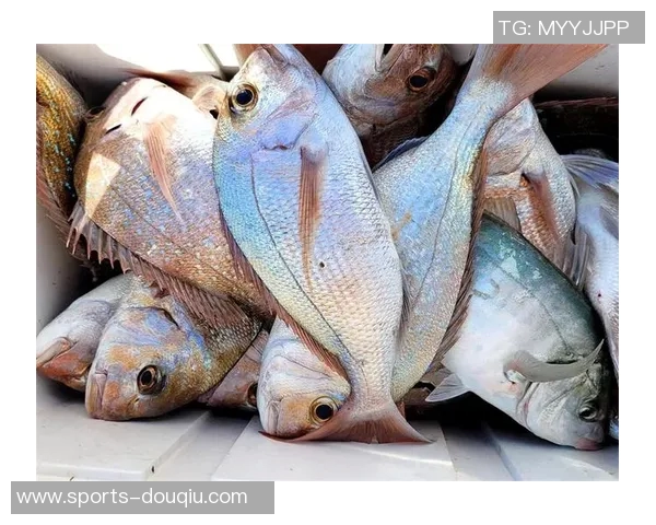 拉什福德分享海钓乐趣笑容灿烂展现多彩业余生活 拉什福德分享海钓乐趣笑容灿烂展现多彩业余生活